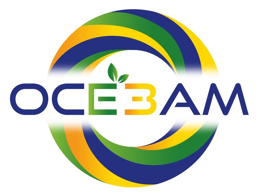 Logo OCE3AM avec le rond - Nettoyage industriel écologique