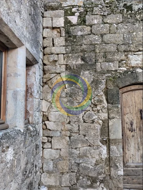 02-Mur pierre chateau mousses et lichens