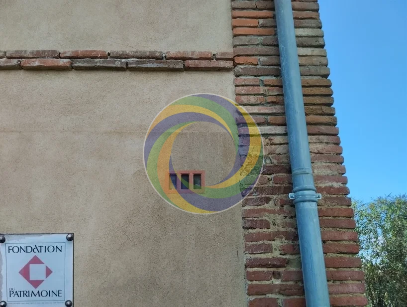 02-Nettoyage fiente sur crepi monument classe